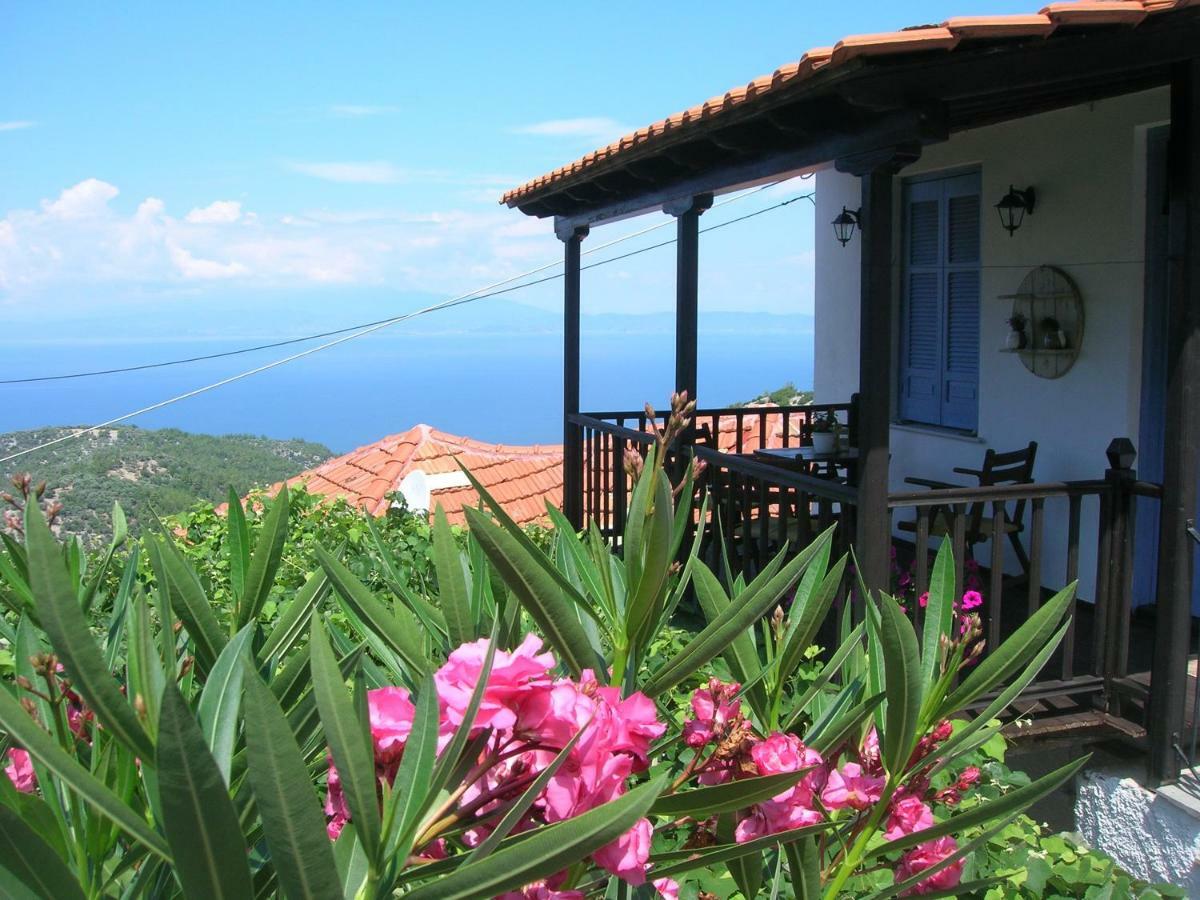 Athina'S House ξενώνας Σκάλα Σωτήρος Εξωτερικό φωτογραφία